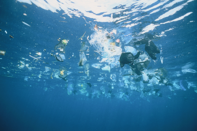 plastic floating in the ocean